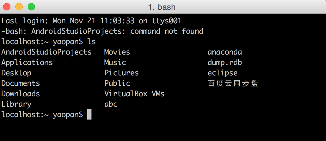 Basic Bash A default terminal displaying bash, uncustomized.