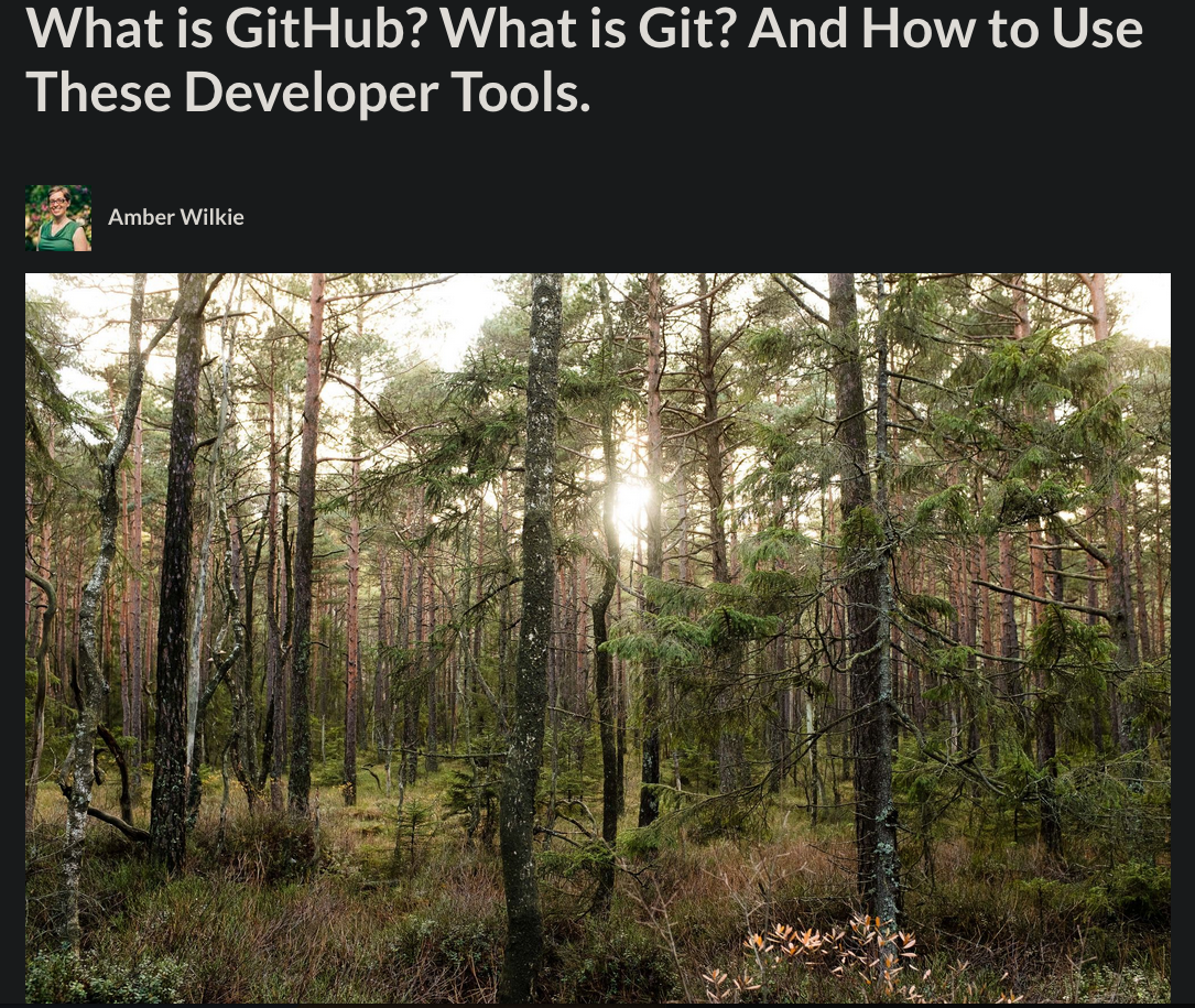Article with a picture of a forrest in the background.