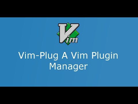 Youtube thumbnail, 'Vim-Plug: A vim plugin manager.'